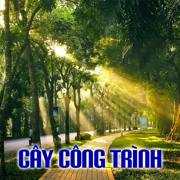 1 - CÂY CÔNG TRÌNH